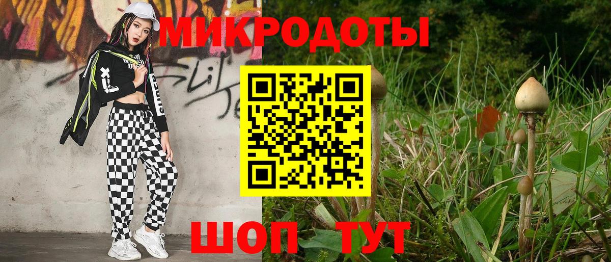 Псилоцибиновые грибы Cubensis  Вход с VPN  Галлюциногенные грибы мицелий  Нижнеудинск 